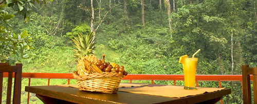 Falling Waters Munnar Exterior foto